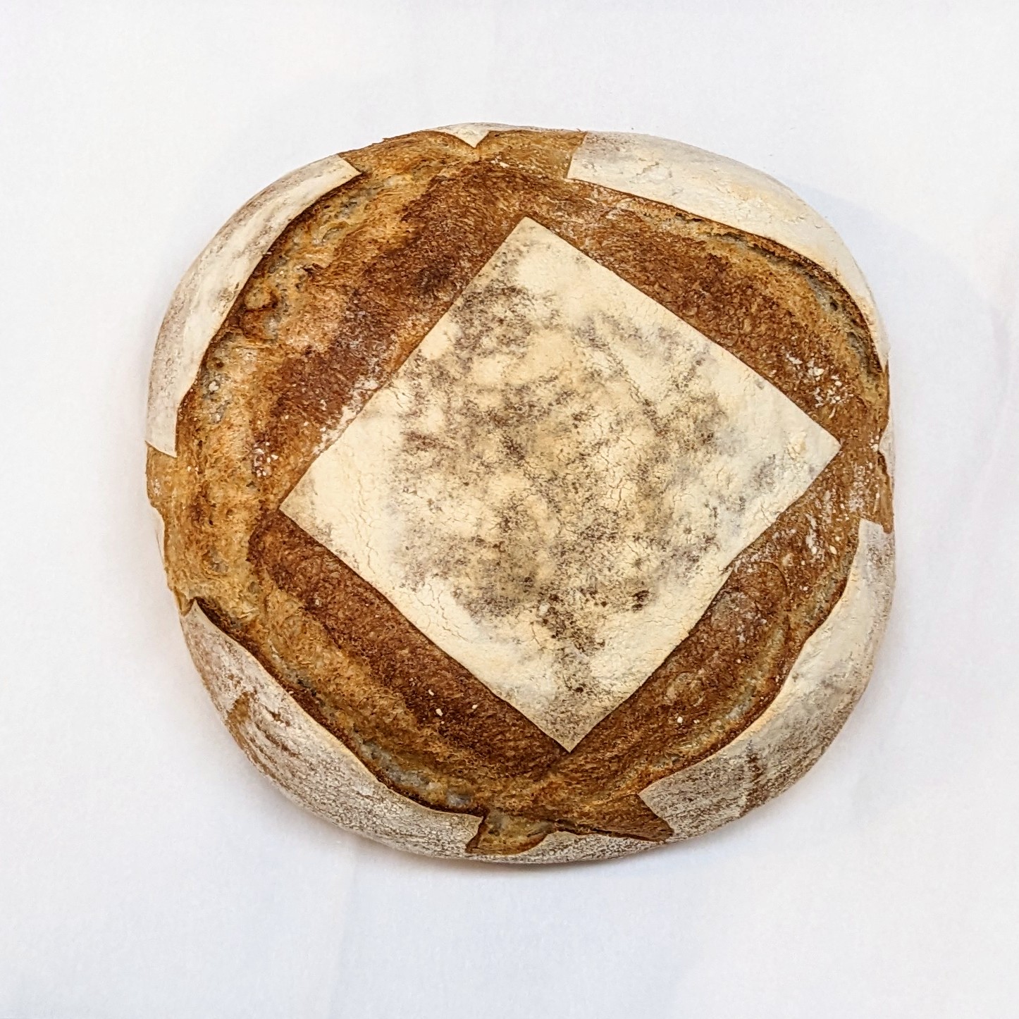 Large Levain Brio Breadworks